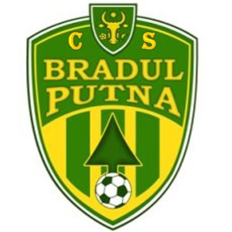 Bradul Putna