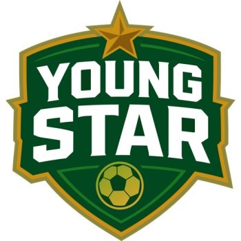 Young Stars