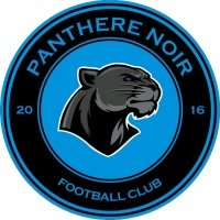 Panthère Noir