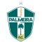 Escudo Palmeira