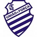 Escudo Fluminense de Feira