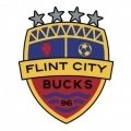 Escudo del Flint City Bucks