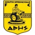 South Springvale