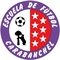 club crest