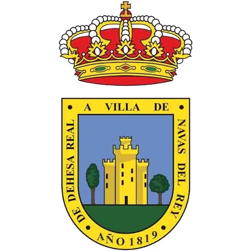 Navas del Rey