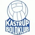 Escudo del Kastrup
