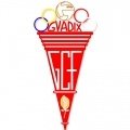 Escudo del Guadix C.F. A