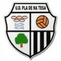 Club crest