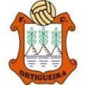 Escudo del Ortigueira