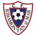 Club crest