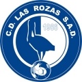 Las Rozas CF D