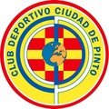 Escudo del Ciudad de Pinto-Quintana A