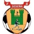Escudo del Seseña Futbol Base