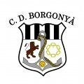 Escudo del Borgonyà