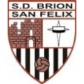 Brion SD