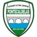 Escudo del Puentecaldelas
