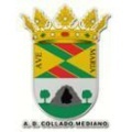 AD Collado Mediano