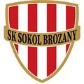 Escudo del Sokol Brozany