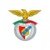 Escudo Faro e Benfica