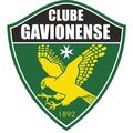 Gavionenses