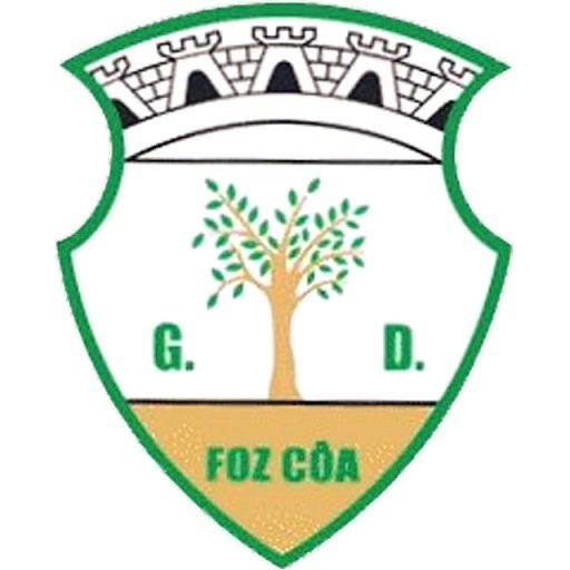 Escudo del GD Foz Côa