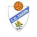 Escudo del Zaidin A
