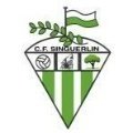 Escudo del Singuerlin A