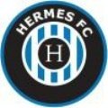 Escudo del Fundacion Privada Hermes B