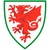 Escudo Wales