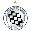 Escudo Mineros de Guayana