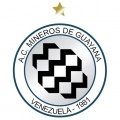 Escudo del Mineros de Guayana