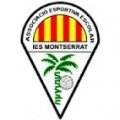 Escudo del Institut Montserrat B