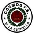 Cosmos FS