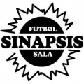 CD UD Sinapsis de Luque