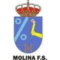 Escudo del Molina