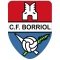 Escudo Borriol B