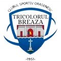 Escudo del Tricolorul Breaza