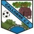 Callobre B