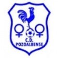 Escudo del Pozoalbense Fem