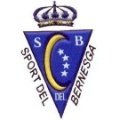 Escudo del Bernesga