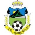 Escudo del Flores Sil B