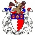 Hinckley United?size=60x&lossy=1