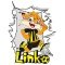 Escudo Linko B