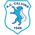 Calvina