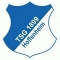 Escudo del Hoffenheim II