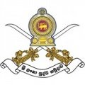 Escudo del Army