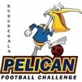 Escudo del Pelicans