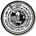 Escudo del Negombo Youth
