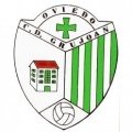 Club crest