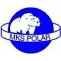 Escudo del Polar